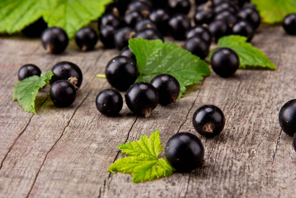 top berry super fruits