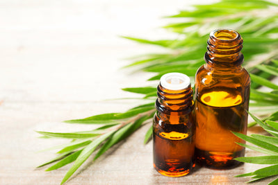 Pregnancy and Essential Oils: Safety + Best Ones