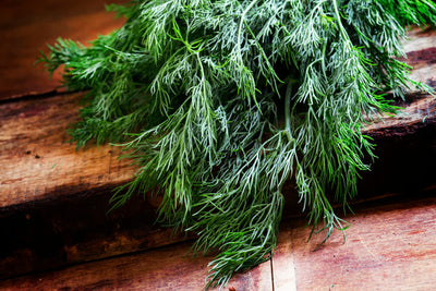 7 Unexpected Benefits of Dill Weed