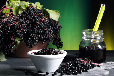 Elderberry Benefits for Immune Health + More