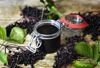 5 Surprising Ways Elderberry Can Enhance Your Wellness