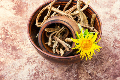 5 Benefits of Elecampane for Your Lungs & Beyond