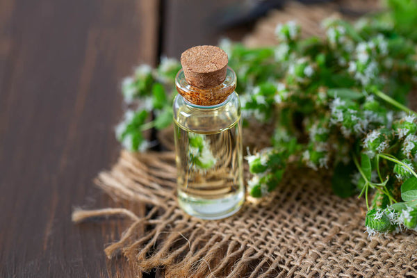 how essential oils are made