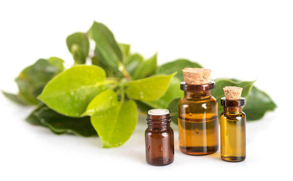 essential oils breastfeeding