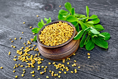 7 Fenugreek Benefits for Health + How to Use It
