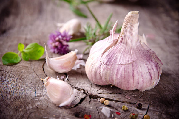 using garlic for health benefits