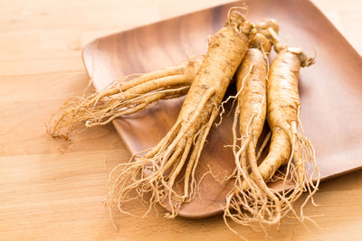 Top 7 Health Benefits of Ginseng