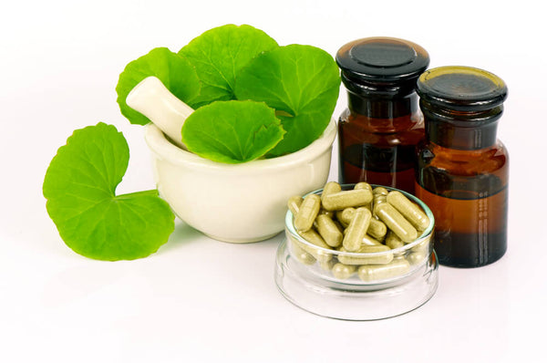 benefits of gotu kola for mind and body