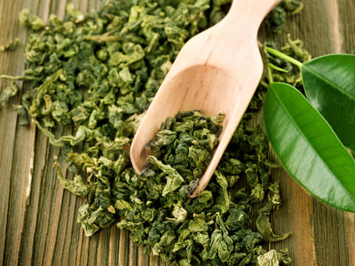 Best Herbs for Liver Support (& Fatty Liver)