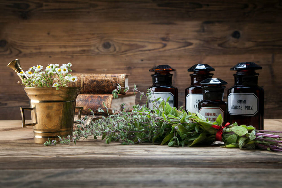 herbal business ideas