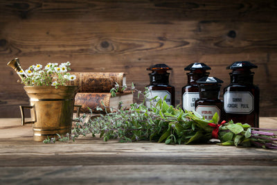 12 Herbal Business Ideas: Profiting from Your Love of Herbs