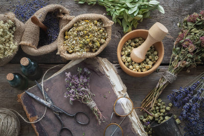 What is Western Herbalism? A Simple Guide