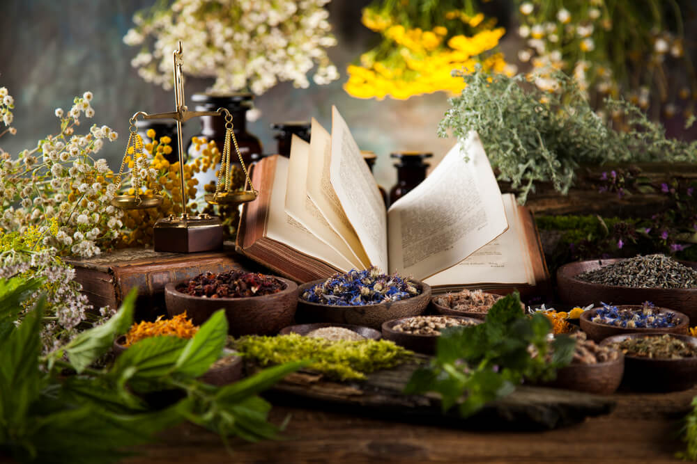 What Are Adaptogens? + 5 Adaptogenic Herbs to Try