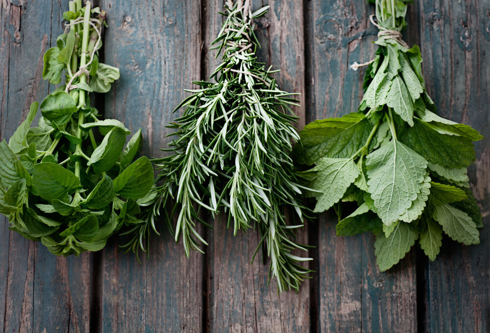 herbs for congestion decongesting