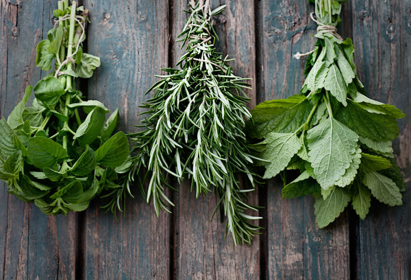 herbs for congestion decongesting