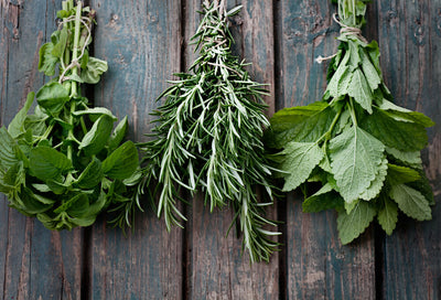 14 Herbs for Congestion + DIY Decongesting Steam