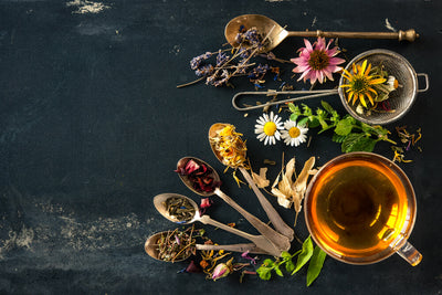 Why Hire an Herbalist? + Tips for Choosing One