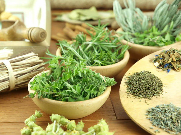 herbs to detoxify