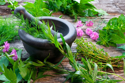 8 Herbs for Lymphatic Drainage and Cleansing