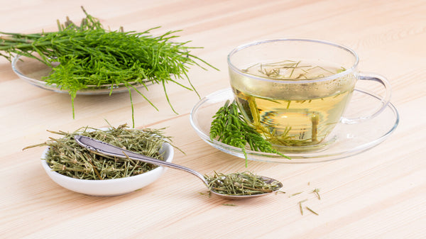 herbs for hair skin and nails