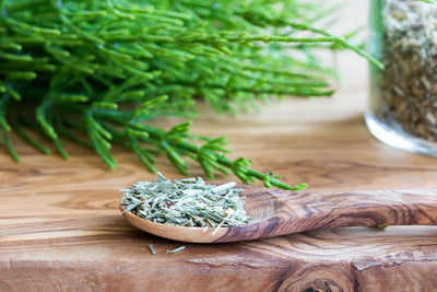 6 Benefits of Horsetail for Skin, Hair, Nails, & More