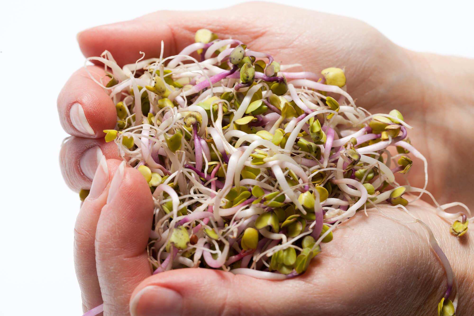 how to increase milk supply with alfalfa