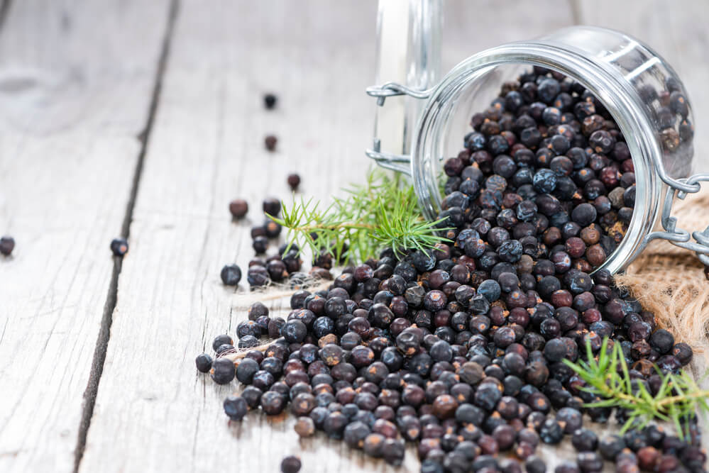 herbs for kidneys urinary tract