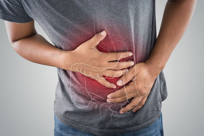 Herbal Remedies for Constipation & Digestion