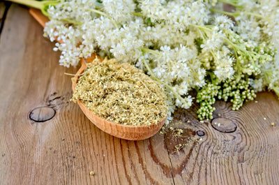 Benefits of Meadowsweet: An Herb for Pain & Digestion