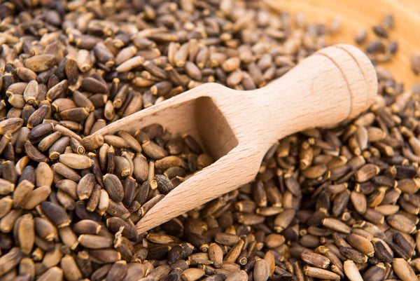 herbs for gallbladder support