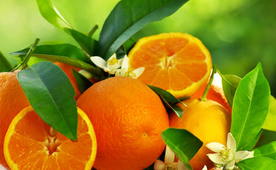 Brighten Up Your Health with Lemon & Orange Peel