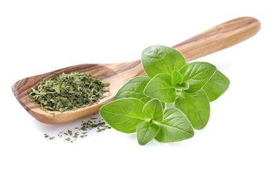 6 Health Benefits of Oregano Herb & Oil
