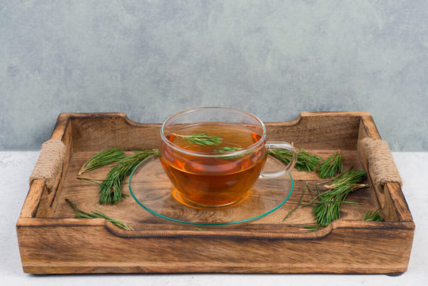 health benefits of pine needles
