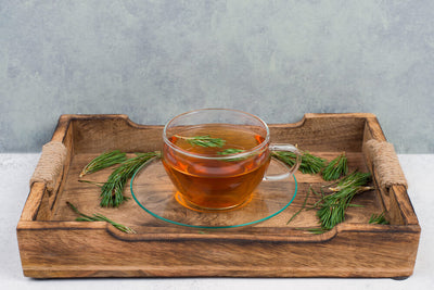 Health Benefits of Pine Needles + Pine Needle Tea Recipe