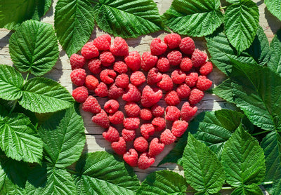 Red Raspberry Leaf Benefits and Uses for Women