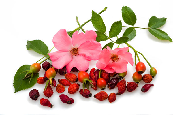 benefits of rose hips