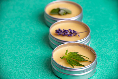 How to Make a Basic Herbal Salve