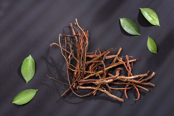 benefits of sarsaparilla