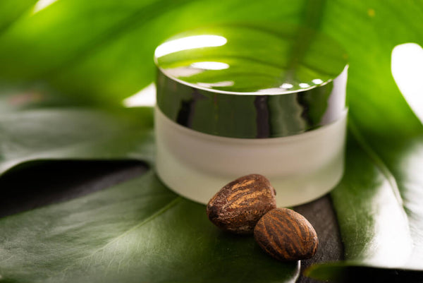 shea butter benefits for skin