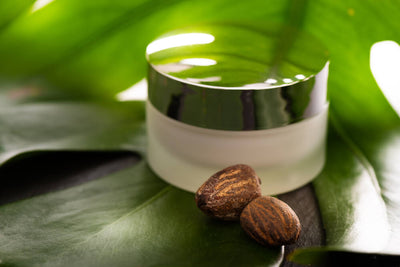 What Is Shea Butter? 7 Benefits for Skin and Hair