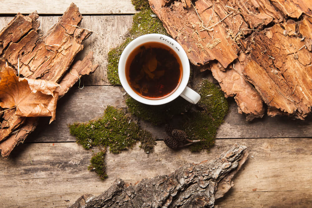 benefits of wild cherry bark