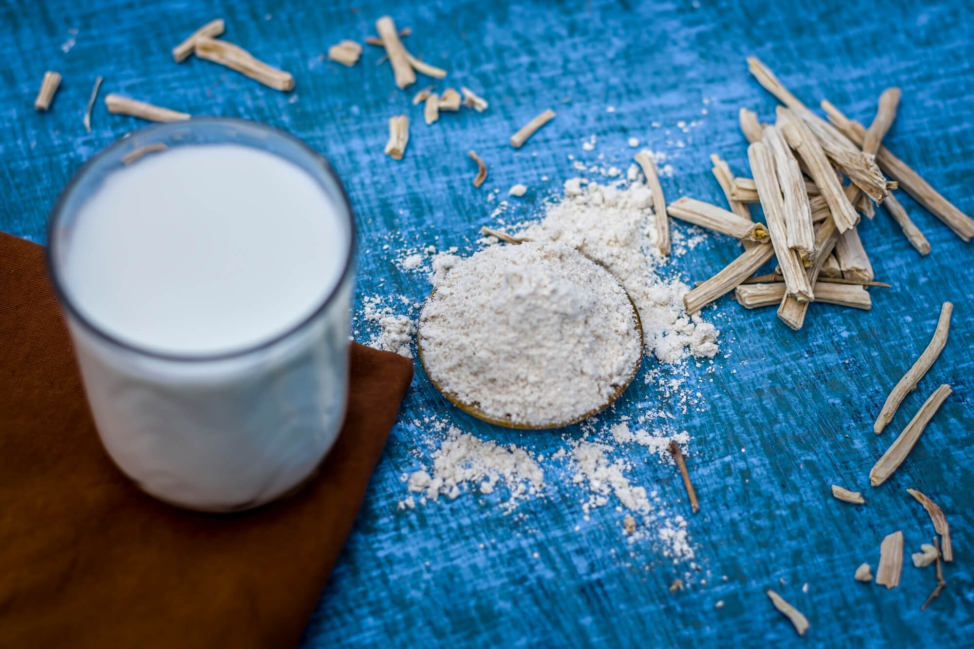 why is shatavari good for breastfeeding