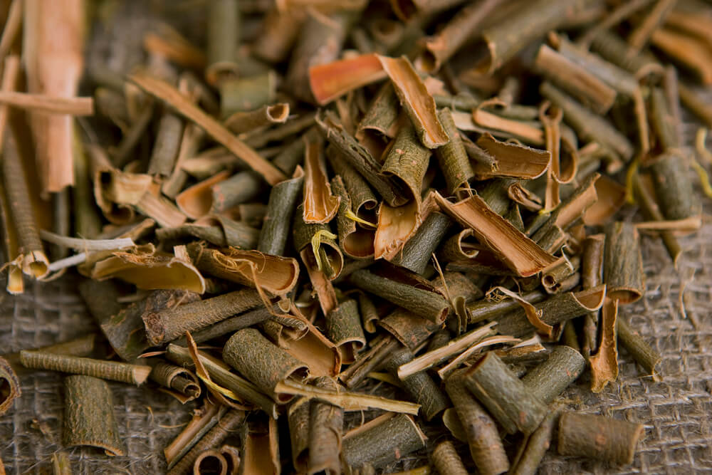 benefits of willow bark