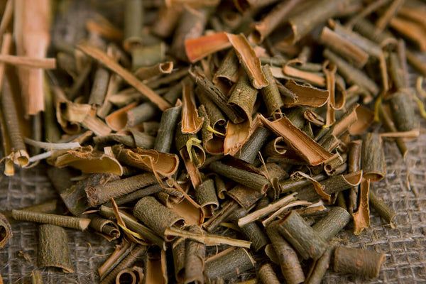 benefits of willow bark