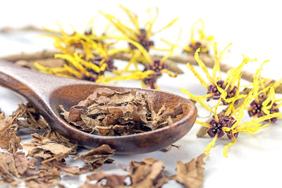 Uses for Witch Hazel + Top Benefits