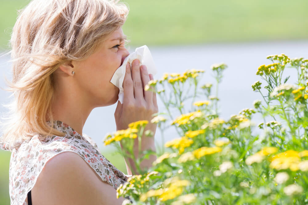 top natural allergy remedies