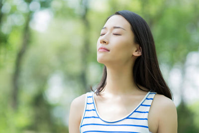 Best Herbs for Your Lungs & Respiratory Support