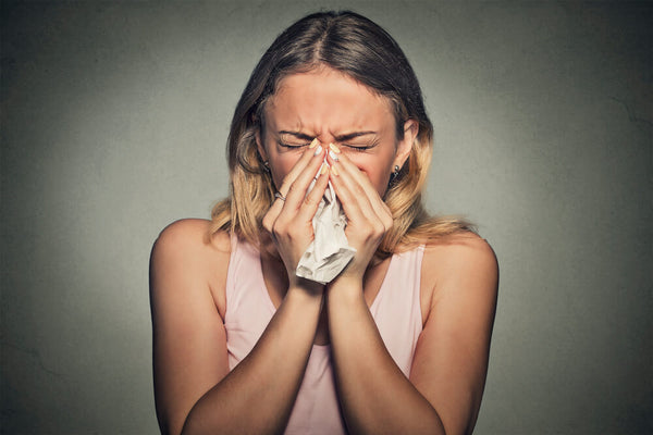 common herb allergies