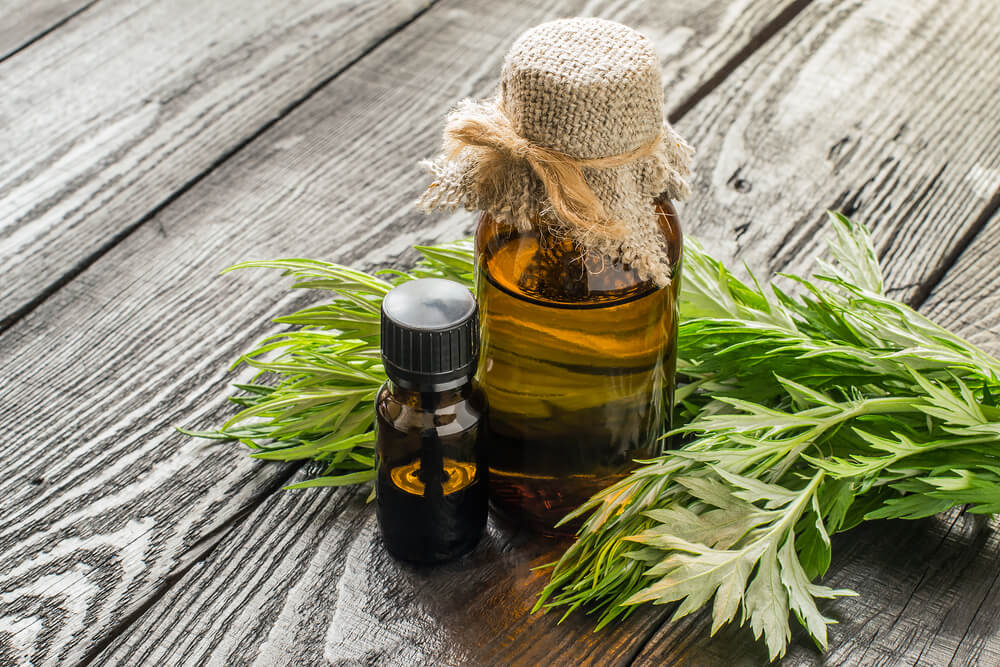 best herbs for parasite cleanse