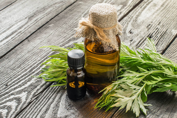 best herbs for parasite cleanse
